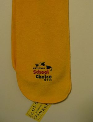This fleece scarf, distributed to House members as they were about to vote on a charter school bill, kicked off an ethics dispute that resulted in a vote to lay the bill on the table, dropping its progress. (Betsy Russell)