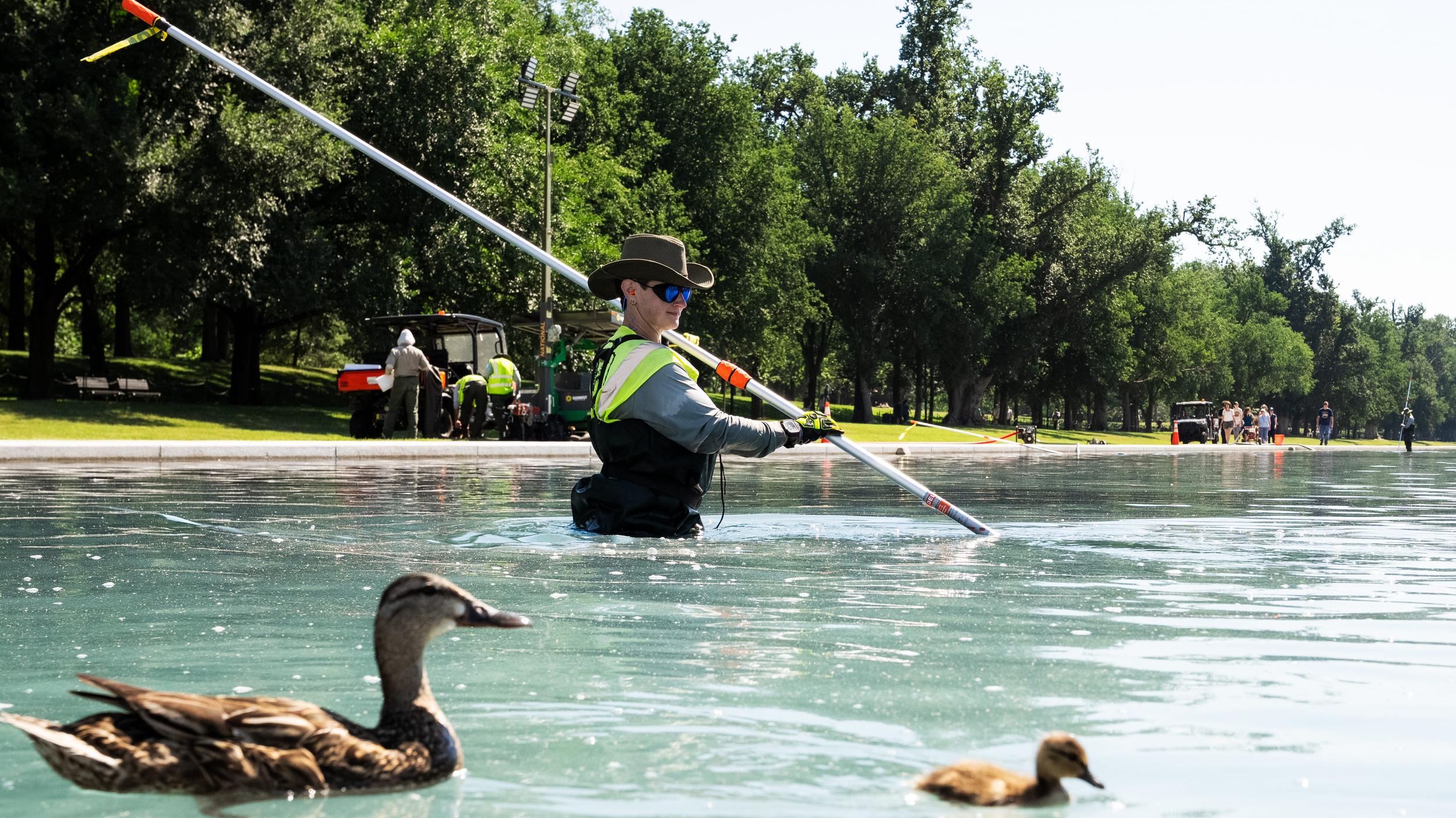 Is hydrogen peroxide a pool fix? DC Reflecting pool algae explained - Wed, 17 Jun 2026 PST