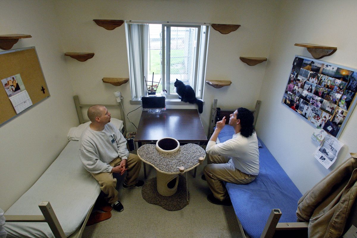 Inmates Joseph Walter, left, and Joseph Contreras watch Princess Natalie in a 12-by-10-foot cell, which resembles a dormitory room, at Larch Correctional Facility in Yacolt, Wash.   (AP/Rick Bowmer)