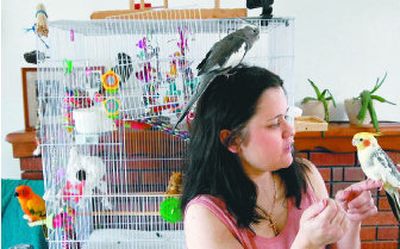 
Sarah Forbes has her hands full at the Cockatiel Relocation Station in her home. Page 18. 
 (The Spokesman-Review)