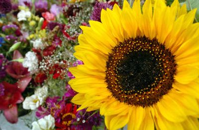 
Sunflowers and other bright flowers sit at a vender's stall at the Liberty Lake Farmers Market. Local flowers are a big hit at local markets 
 (Joe Barrentine / The Spokesman-Review)