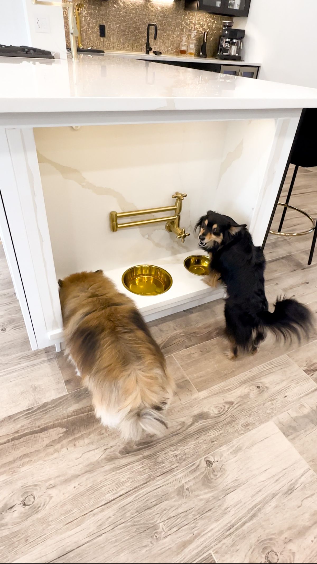 An undated photo via Christine Messier of her dogs Bella, left, and Beau enjoying their feeding station – complete with bowl filler – at their Sarasota, Fla., home. Interior design that caters to animals has become its own niche market with the great pandemic pet boom.  (Courtesy CHRISTINE MESSIER)
