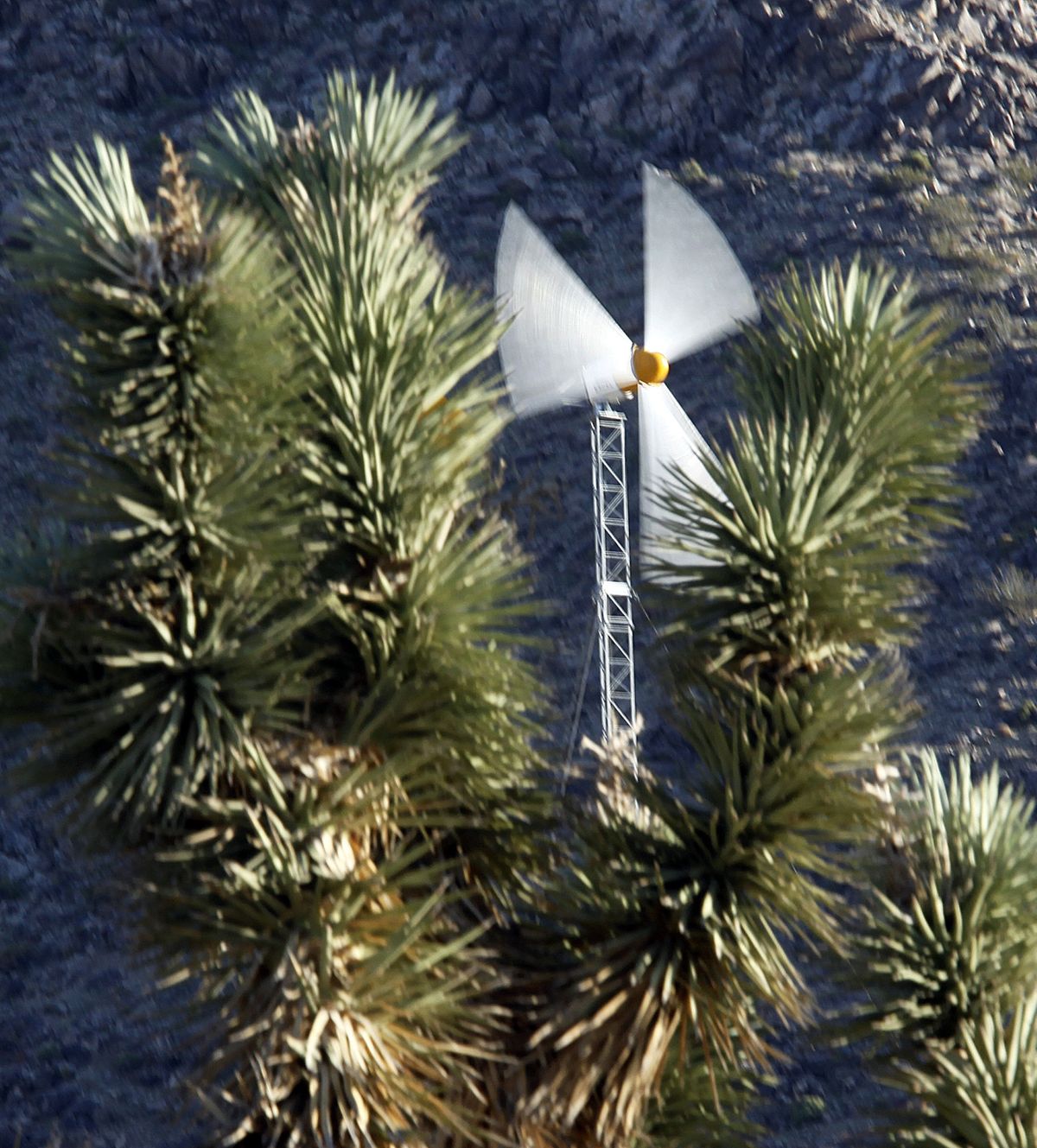 A wind-driven turbine drives an electrical generator on private property near a site proposed for wind turbines to generate electricity, in the Mojave Desert near the town of Apple Valley, Calif.  (Associated Press)