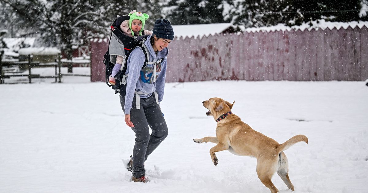 Snowy surprise greeted Spokane on Friday morning