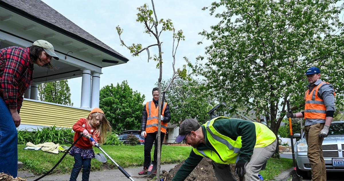 Spocanopy and the Lands Council plant 500 trees in honor of Expo '74