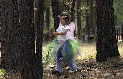 
Elizabeth Croft, 5, wanders through the trees looking for moss at the 10th-annual Northwest Renaissance Festival on Sunday. Croft, her two sisters and her mother are part of the cast.
 (Liz Kishimoto / The Spokesman-Review)