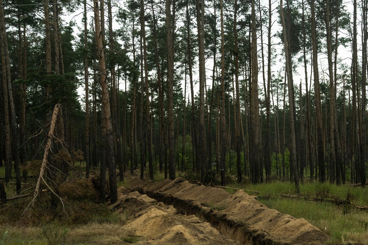 A trench in the Kreminna forest.    (Sasha Maslov/For The Washington Post)