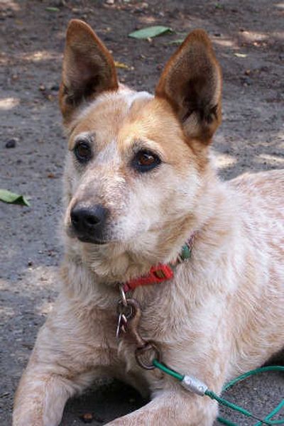 
Marian Wilson
 (Marian Wilson / The Spokesman-Review)