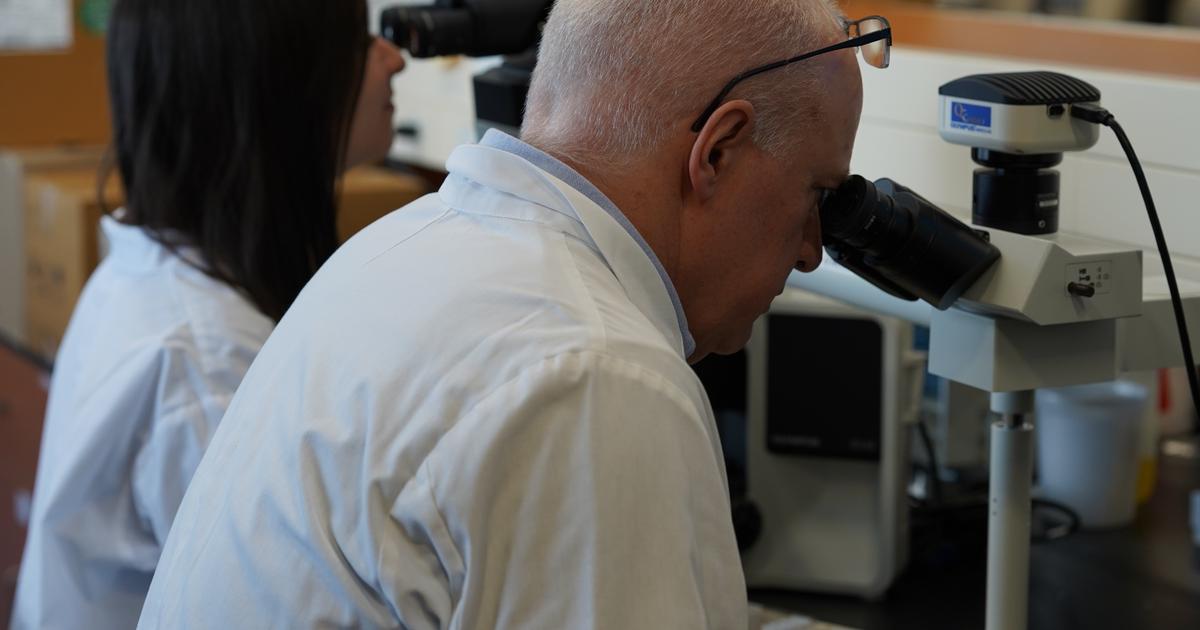 Study Identifies Genetic Similarities Between Cat and Human Cancers, Highlighting Potential for Dual Treatments