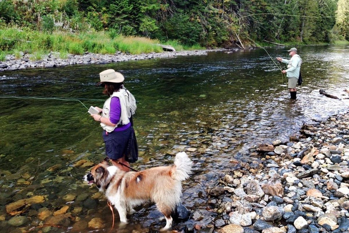 Kasha watches the action as Cindy and Mertz Wuts fly fish a St. Joe River run.