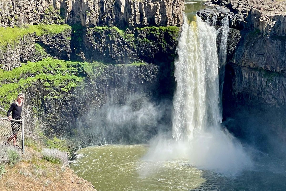 The runoff-swollen Palouse River tumbles over Palouse Falls. (Leslie Kelly)