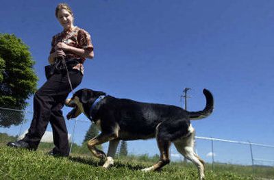 
Monica Mosqueda works with Otis outside the Kootenai Humane Society in Hayden.
 (Jesse Tinsley / The Spokesman-Review)