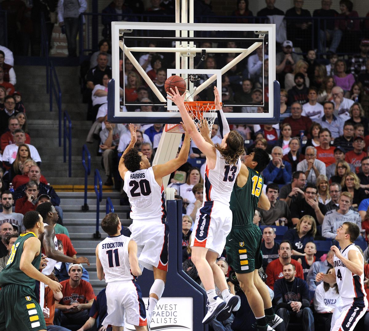 Zags Elias Harris (20) and Kelly Olynyk (13) combined for 19 rebounds against USF. (Tyler Tjomsland)