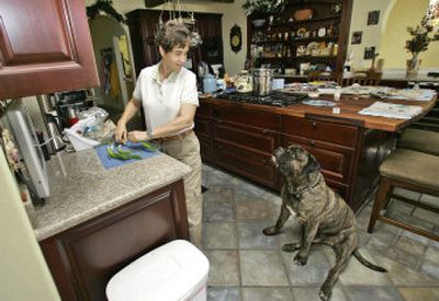 
Despite rebuilding to  insurance specifications for fire safety after her home was destroyed in 2003, Denise Taylor, of San Diego, has seen her premium double to nearly $3,000 a year. 
 (Associated Press / The Spokesman-Review)