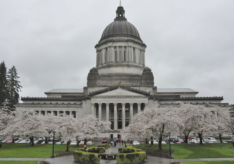 OLYMPIA -- Cherry blossoms are out on the Capitol campus despite the rainy weather. (Jim Camden/The Spokesman-Review)