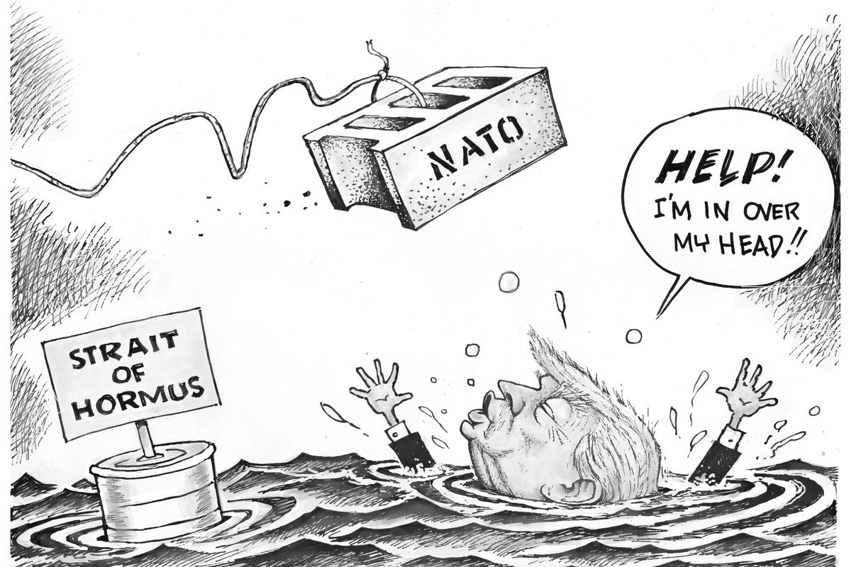 Dave Granlund cartoon  (Dave Granlund )