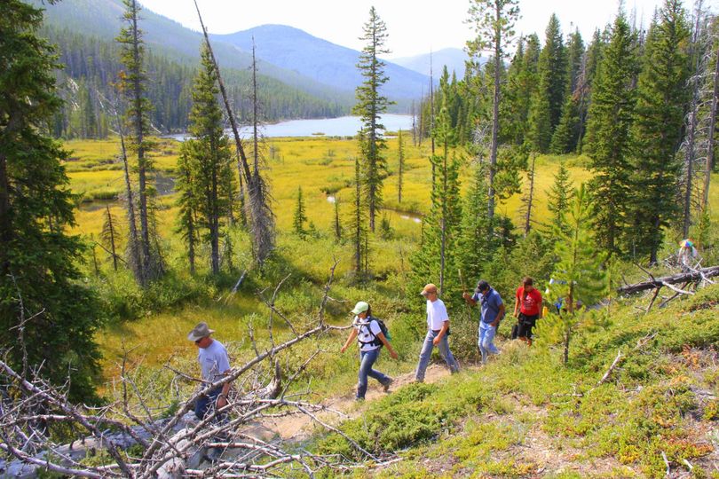 Participants in making the moving Untrammeled walk through a wilderness in Montana. The movie debuts in 2014 to celebrate the 50th anniversary of the Wilderness Act. (courtesy)