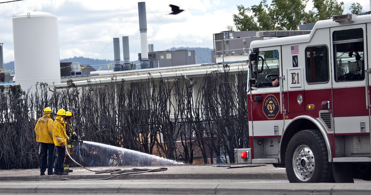 Firefighters Stop Towering Brush Fire From Spreading To Structures At ...