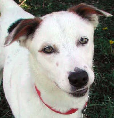 

 (The Spokesman-Review)