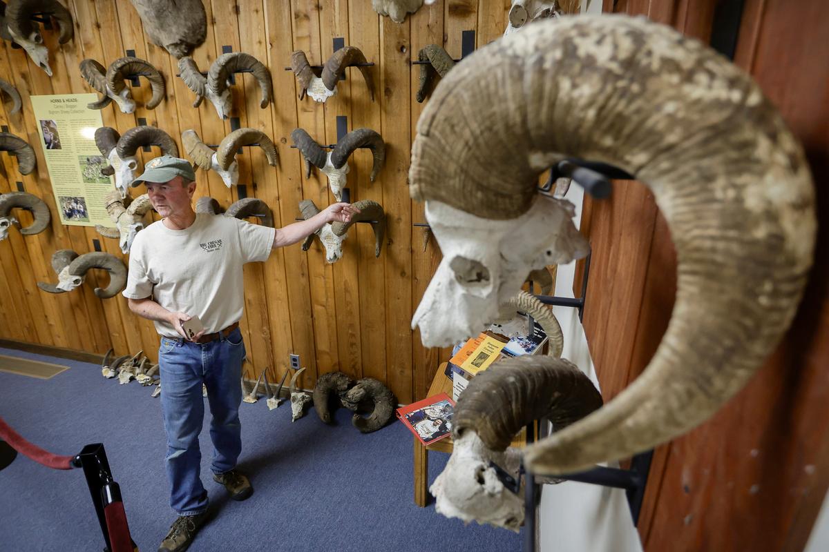 Jim White talks about the Carrey/Boggan Bighorn Sheep Collection on Saturday, May 23, 2026 at the Jack O’Connor Hunting Heritage and Education Center in Lewiston, Idaho. White was a wildlife biologist with the Idaho Department of Fish and Game wildlife when he helped Doug Boggan find a home for the collection.  (Geoff Crimmins/For The Spokesman)