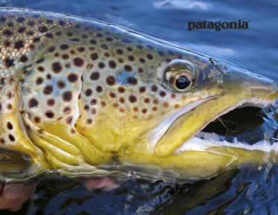 Patagonia is providing prizes for the Conservation Hawks photo contest. (courtesy)