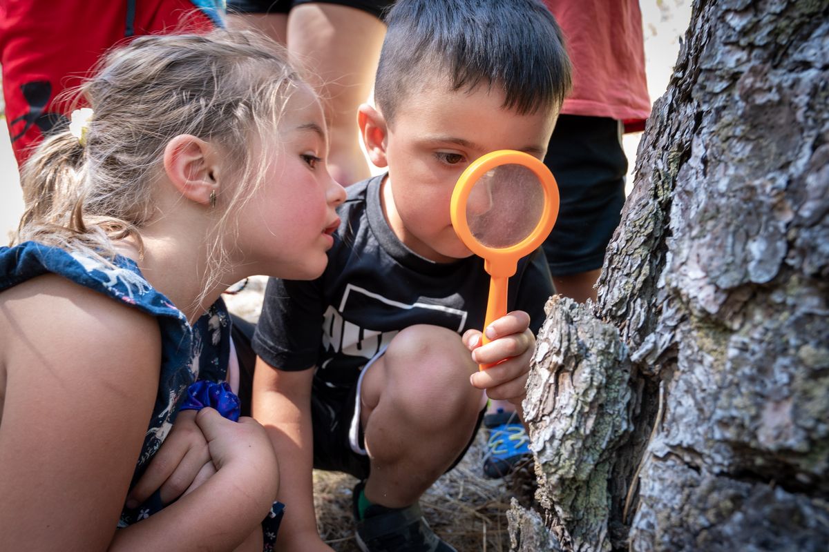 Little Woodland Adventures preschoolers Brinn Borja, 5, and Liam Leskowski, 5, use a magnifying glass to examine an insect during their day exploring at Dishman Hills Natural Area on July 2.  (Colin Mulvany/The Spokesman-Review)