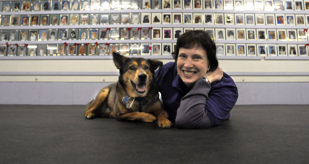 Surrounded by  photos of other dogs who have gone through training, Sadie stops for a portrait with owner Kathleen Dale at Lilac City Dog Training Club on Jan. 28. (PHOTOS BY CHRISTOPHER ANDERSON)