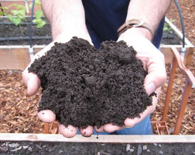 Building up your soil’s fertility each year keeps plants healthy and productive.