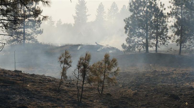 This brush fire burned an area north of Mansfield Ave. in Spokane Valley on Tuesday, July 30, 2013. It was started by an illegal camp fire.  (Photo courtesy the Spokane Valley Fire Department)