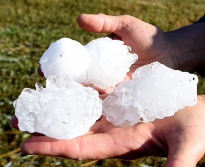 Betty Proue holds some of the large hail that damaged her house and outbuildings on Sunday evening as residents clean up after high winds and large hail pounded Yellowstone County in Huntley, Mont., Monday, Aug. 12, 2019. (Larry Mayer / AP)