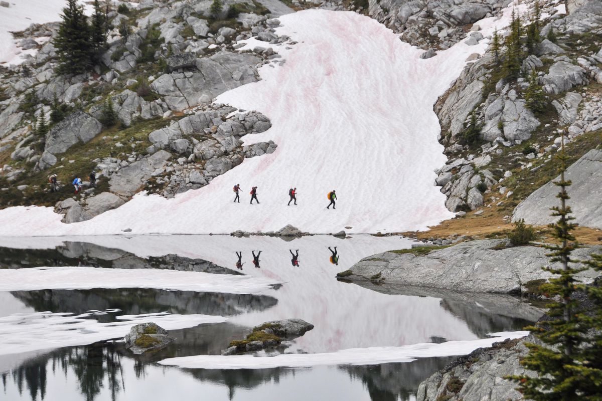 Hikers traverse a Kokanee Glacier Provincial Park snowfield above Sapphire Lakes, which were partially covered with ice in late July 2016. (Rich Landers / The Spokesman-Review)