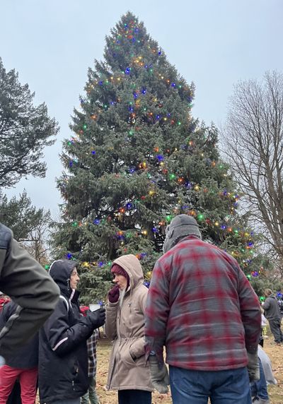 Hundreds of neighbors braved the freezing temperature Sunday to watch an enormous tree in Corbin Park light up with multicolored bulbs as they drank hot chocolate and reveled in community spirit.  (Elena Perry/THE SPOKESMAN-REVIEW)