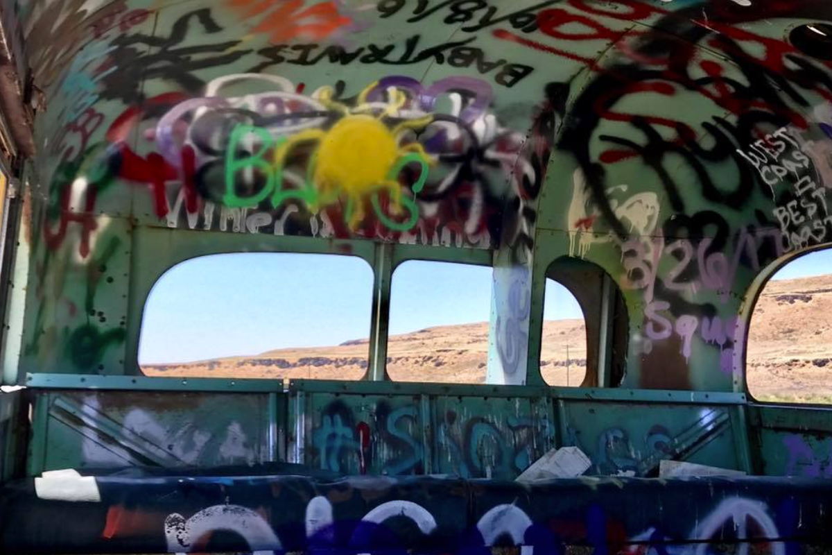The inside of the bus is painted top to bottom with graffiti, too.  (#thatNWbus)