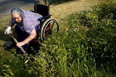 
Dorothy Campbell weeds a flower bed at her Spokane Valley home Friday. Campbell is a polio survivor and the mother of eight children. 
 (Holly Pickett / The Spokesman-Review)