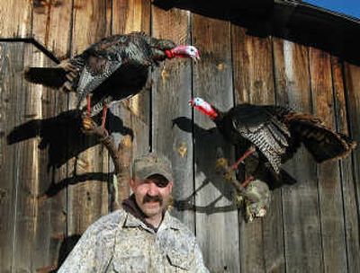 
David Busta of Kooskia displays the two triple-bearded turkeys he shot last year in Idaho.
 (Tribune/Steve Hanks / The Spokesman-Review)