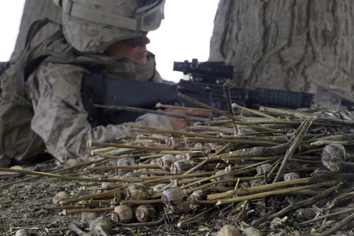 A  Marine takes a position next to piles of dried poppy bulbs in the village of Noghara in Helmand province Friday. (The Spokesman-Review)