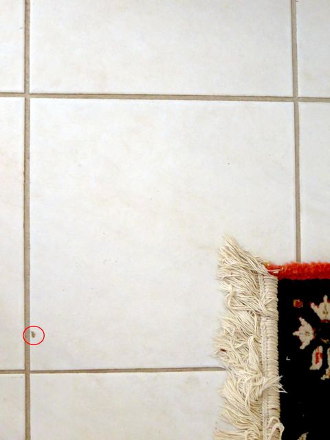 How To Repair A Chipped Tile With, How To Repair Chipped Ceramic Tiles
