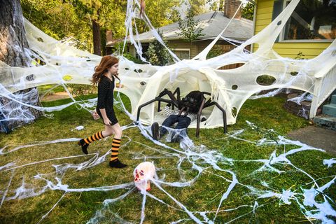 Spiders Building Huge Web on Tree Above Sidewalk, Australia, Araneae,  sidewalk, Meanwhile, #Halloween decorations in #Australia be like  🤣💥🕷, By The Pet Collective