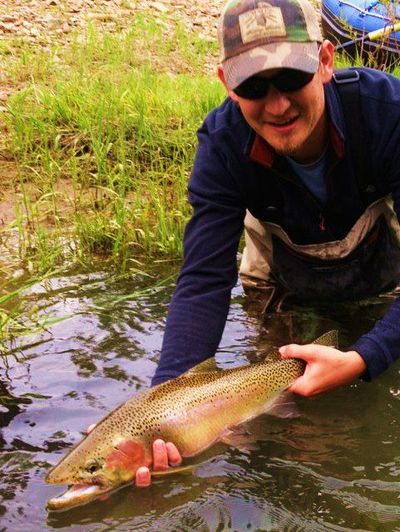 Josh Seaton releases a huge cutthroat trout caught in a North Idaho river in the last week of May  2012. (Courtesy photo)