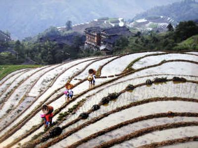 
John Dean took this photo of people working in a rice field just outside of Shanghai, China. John Dean
 (John Dean / The Spokesman-Review)
