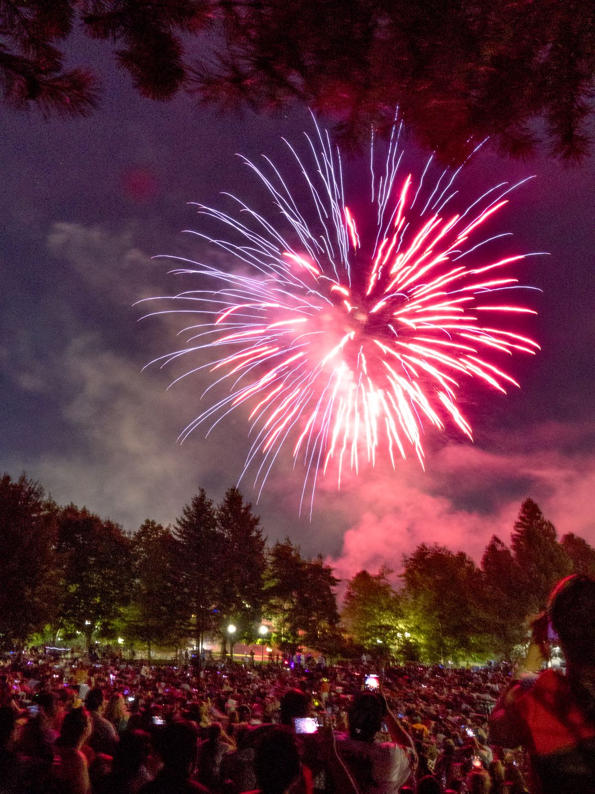 Fireworks explode over Spokane’s Riverfront Park, July 4, 2017.  ( Jesse Tinsley/THE SPOKESMAN-REVIEW)