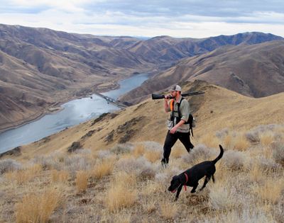 Pat “Corky” Wray Jr. of Bend, Ore., hunts in November 2006 for chukars with his Labrador retriever on the slopes above the Snake River near Brownlee Reservoir. The popular fishing spot is under advisory for high levels of algae bloom, which can be fatal to pets and at-risk humans.  (Spokesman-Review photo archives)