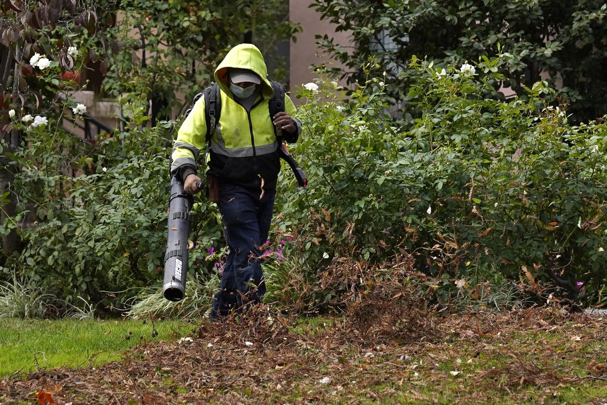 A gardener uses a leaf blower to clear leaves at a home in Sacramento, Calif., Wednesday, Oct. 13, 2021. Gov. Gavin Newsom signed 92% of the new laws lawmakers sent to him at the end of the years legislative session that ended Sept. 10. One of the bills approved clears the way for a first-ever ban on the sale of new gas-powered leaf blowers and lawn blowers.  (Rich Pedroncelli)