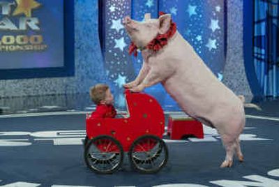 
Kiara, a 650-pound Yorkshire pig, pushes Morgan Kimes in a baby carriage. Morgan and his dad, Les Kimes, own Kiara, who was a finalist last year on 