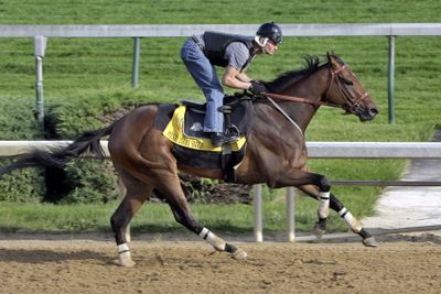 Mine That Bird, under jockey Calvin Borel, puts in final workout Monday in preparation for Belmont.  (Associated Press / The Spokesman-Review)