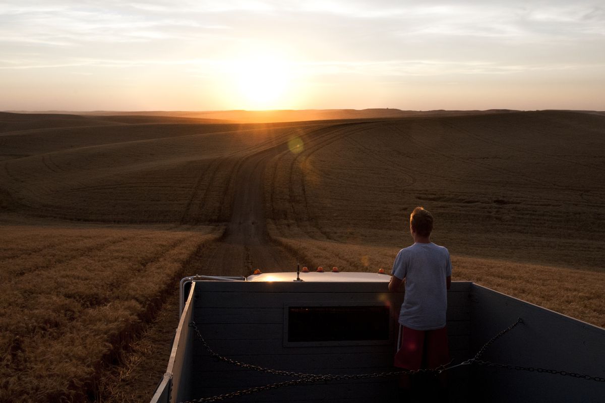 Noah Beach, 12, rides in the bed of a wheat truck as the sun sets, heading to pick up another load of grain cut by his grandfather Dick Schu and uncle Ryan Schu on Monday night near Oakesdale, Wash. The Schu family grows wheat on 1,500 acres. (Tyler Tjomsland)