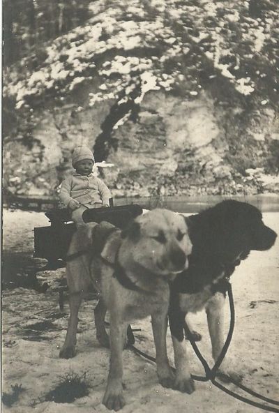 Hammond Ole Wilson is seen sitting on a dogsled when he was about 2 years old in Alaska.