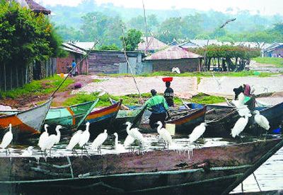 
Rusinga Island fishing village on Lake Victoria.
 (Photo courtesy of David Ziegler / The Spokesman-Review)