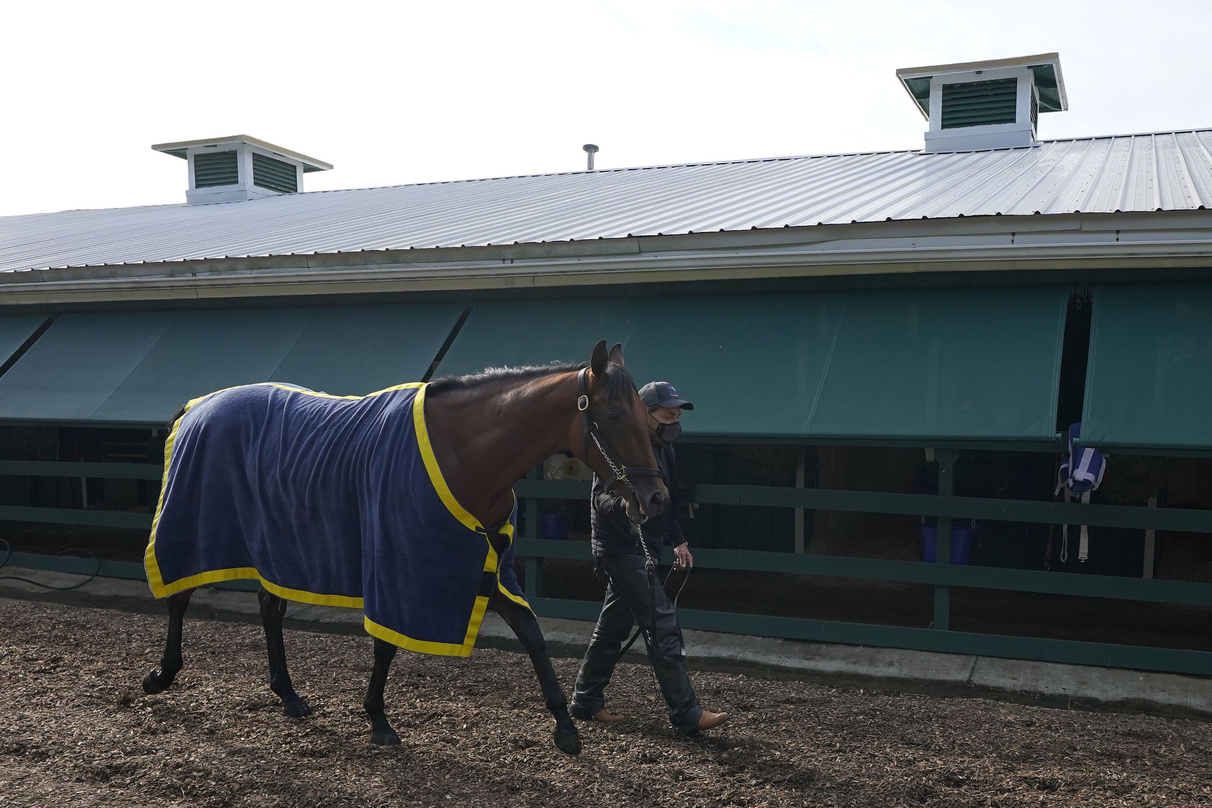 Preakness notebook Bob Baffert's Concert Tour a disappointing 9th in