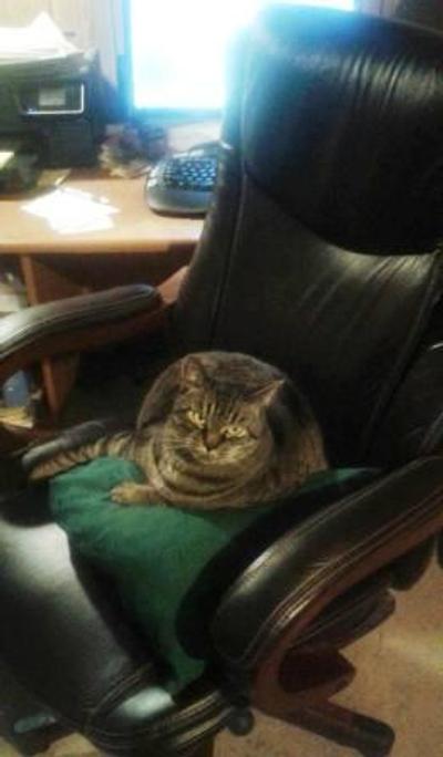 Thor. Chair thief.